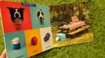 O livro “Let's Find Momo Outdoors!“ faz parte da coleção “Let’s find Momo”, um cão que adora brincar às escondidas!