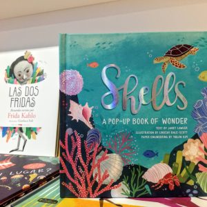 Shells - A Pop-Up Book Of Wonder