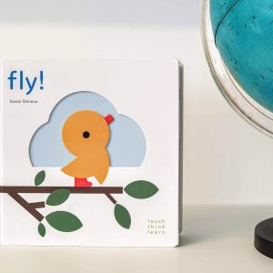 Fly