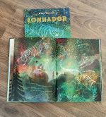"Sonhador" é um livro ilustrado cheio de emoções e cores vivas, que, como uma explosão colorida, nos permite voar e entender o principal: os sonhadores são capazes de mudar o mundo para melhor.