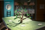 Este livro "Little Hazelnut" conta a incrível história de um esquilo que deixa cair uma preciosa avelã e com a queda de neve ela fica enterrada.