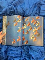 "Histórias de Fantasmas do Japão" é um livro único, de beleza rara, que celebra o Japão com 10 histórias que representam a sua cultura e as suas tradições.