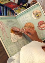 Ilustrado primorosamente e inspirado nos manuais de anatomia da época vitoriana, o livro "O Corpo Humano" é um excelente presente para um amigo médico, um estudante de medicina ou uma criança curiosa.