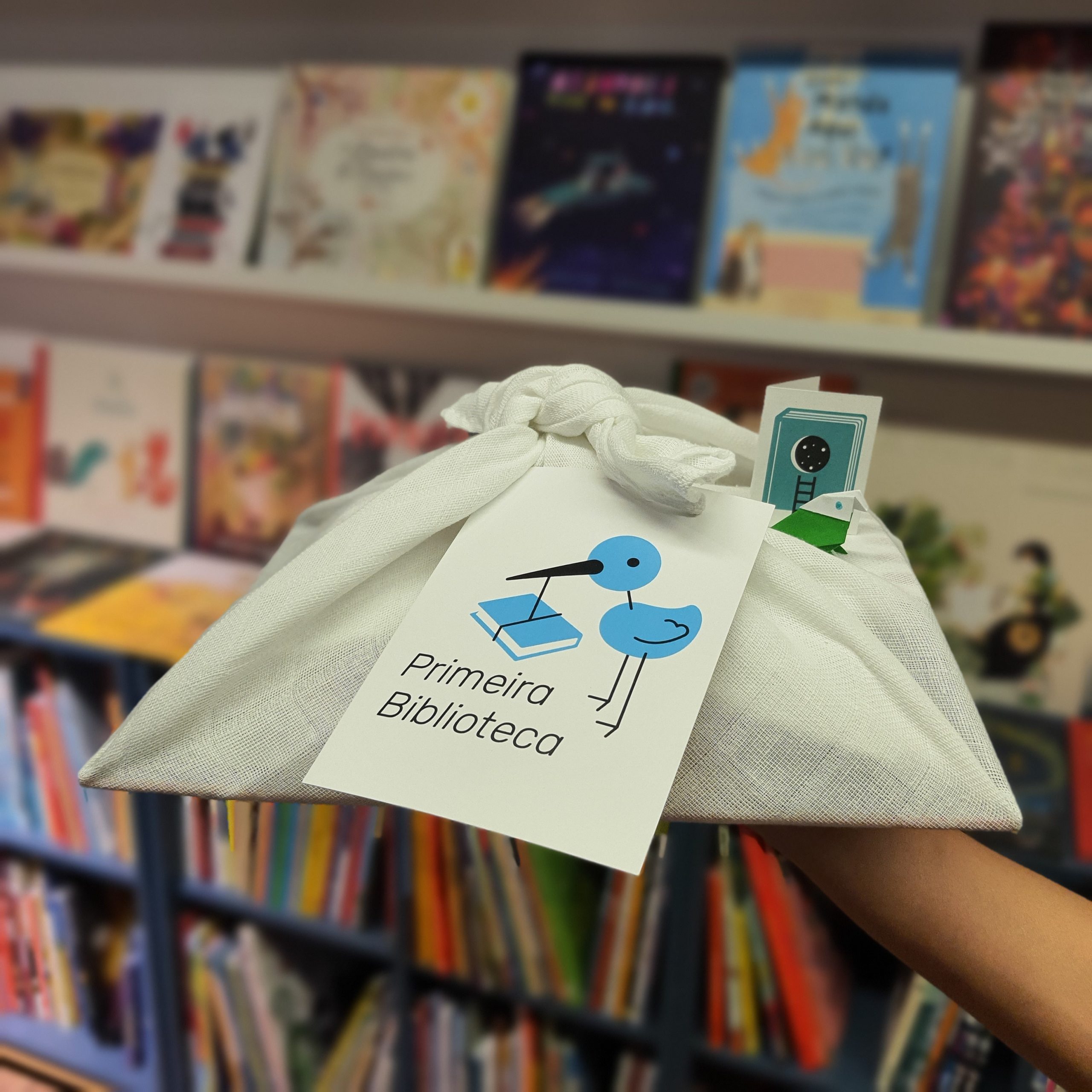 primeira biblioteca curadoria faz de conto livraria