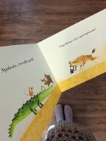 As suas ilustrações são tradicionais e repletas de texturas, enigmas visuais inteligentes e histórias que equilibram simplicidade com uma profundidade surpreendente. Os seus livros falam tanto a adultos quanto a crianças, seja explorando temas como amizade, medo, imaginação ou a alegria de criar coisas juntos.