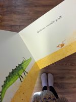 As suas ilustrações são tradicionais e repletas de texturas, enigmas visuais inteligentes e histórias que equilibram simplicidade com uma profundidade surpreendente. Os seus livros falam tanto a adultos quanto a crianças, seja explorando temas como amizade, medo, imaginação ou a alegria de criar coisas juntos.